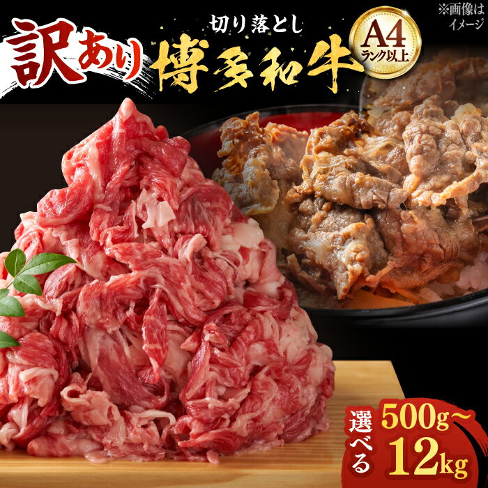 【ふるさと納税】博多和牛 切り落とし 500g / 1kg (選べる容量/回数)《築上町》【株式会社MEAT PLUS】 定期便 #BBQ [ABBP004]