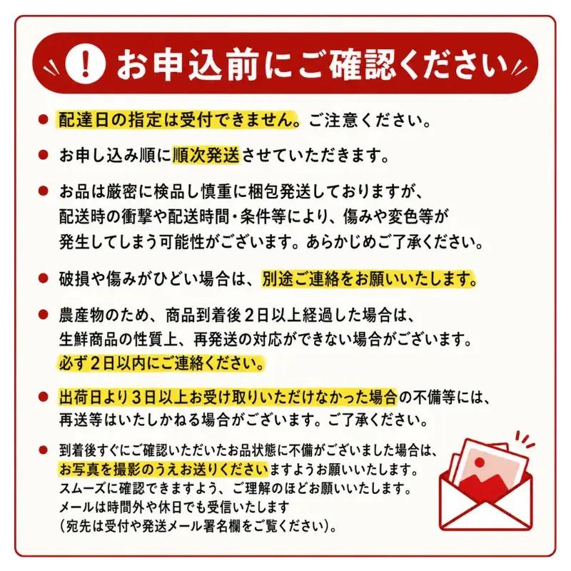 【先行予約】 桃あかつき約3kg(9~13個)【8月上旬～順次発送】【asashima002】