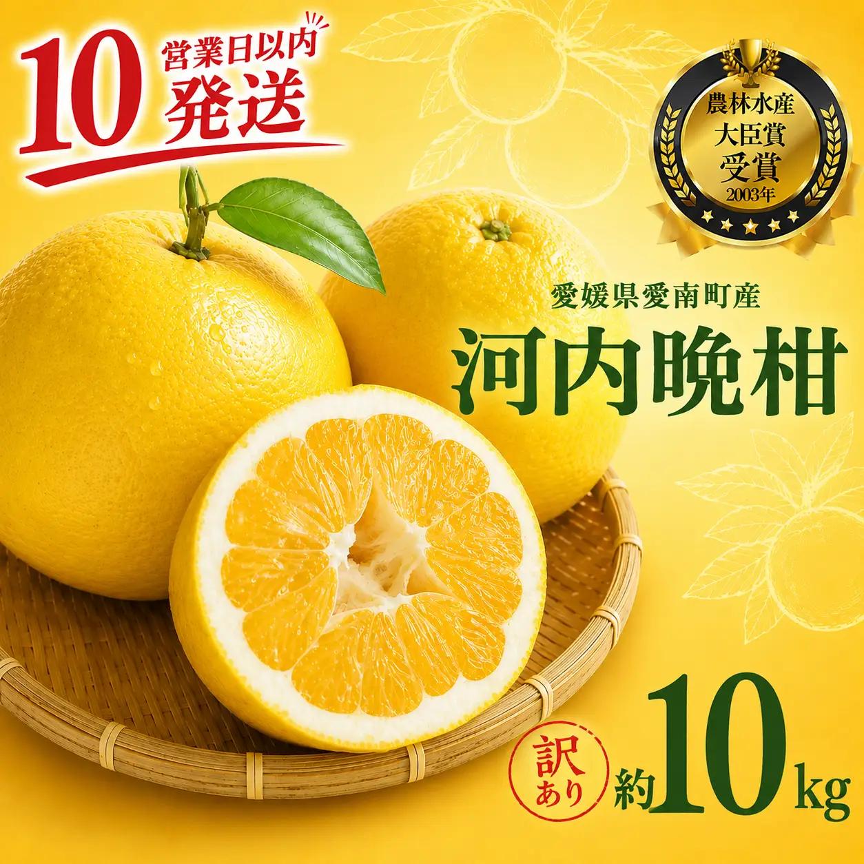 【10営業日以内発送】 【訳あり】 河内晩柑 9kg + 傷み保証 約1kg 計10kg 愛南ゴールド みかん フルーツ 愛媛 愛南 吉本農園