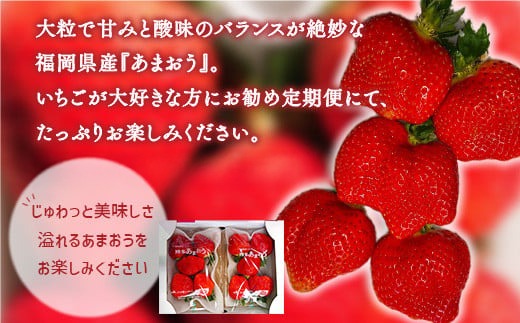 いちご あまおう 定期便 2p 3回 総計6P【2027年発送】 期間限定発送 [THE FARM_strawberry 福岡県 宇美町 um40azo780012] 先行予約 イチゴ 苺 フルーツ 果物 果実 甘い 小分け 定期 あまい