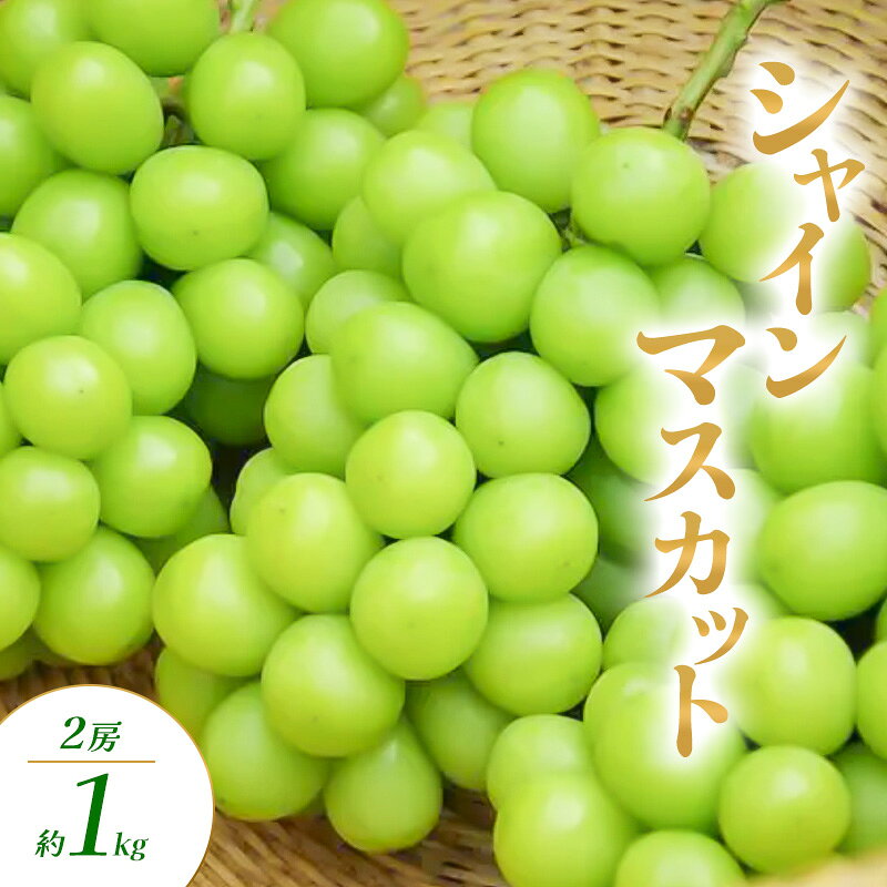【ふるさと納税】シャインマスカット 1～2房 約1kg ぶどう ブドウ 葡萄 マスカット 果物 フルーツ 長野県 長野 山ノ内町　お届け：2026年10月上旬～11月中旬