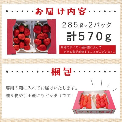 【先行受付】あまおうスタンダード2パック　570g(岡垣町)【配送不可地域：離島】