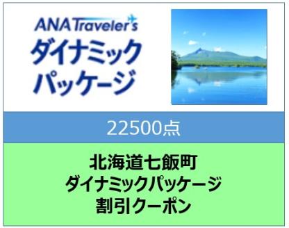 北海道七飯町　ANAトラベラーズダイナミックパッケージ割引クーポン22500点分 NAAV004