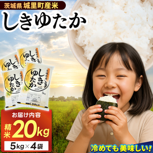 ＼甘味が強く、もちもち食感／ 精米 20kg (5kg×4袋) しきゆたか【令和7年産】お米 米 ご飯 城里町 桂農産 シキユタカ (AX004)