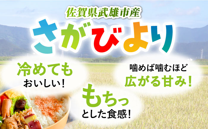 【14年連続特A評価】令和5年産 さがびより 白米 10kg（5kg×2袋）　【JA食糧さが】 [UDS001]