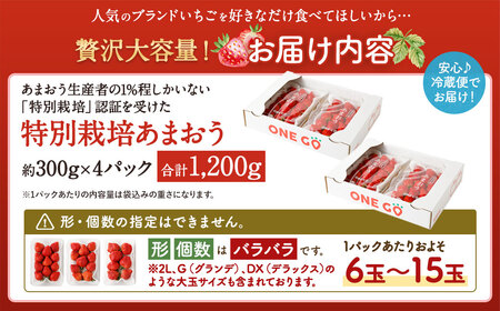 【予約受付】特別栽培 あまおう 1,200g 大粒 不揃い 選べる大容量あまおう （2L,グランデ,DX デラックス）減農薬 あまおう いちご 高級 いちごあまおう イチゴ 苺 フルーツ 果物 ふるさ
