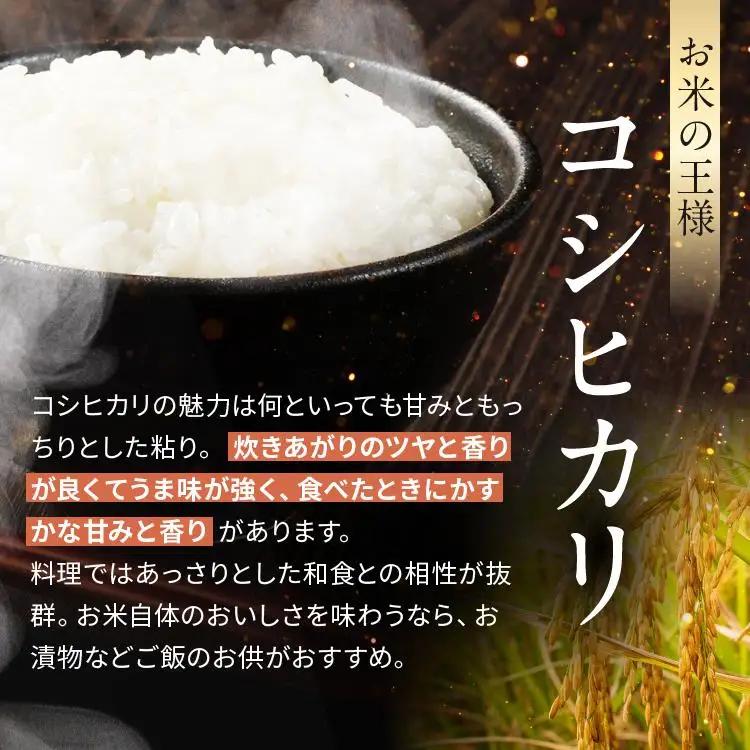 【2026年産】栃木県産コシヒカリ白米 30kg【栃木県共通返礼品 栃木県産】