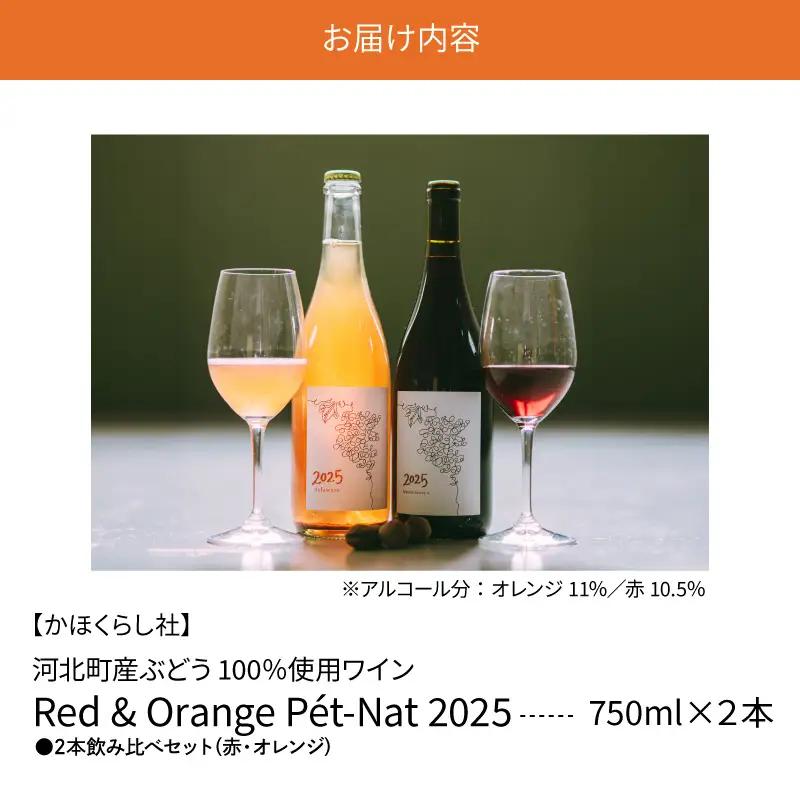 ワイン 2025 赤オレンジ 2本飲み比べセット 各750ml ワイン ka019-316j-2025