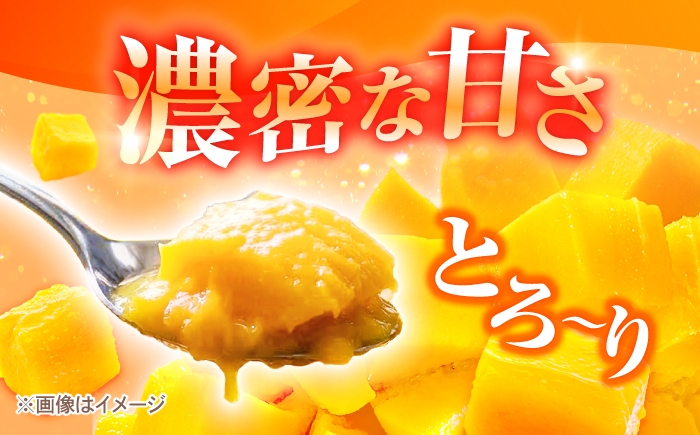 沖縄県産 完熟マンゴー 贈答用 2kg (3〜5玉) マンゴー 沖縄 果物 フルーツ ギフト まんごー 2kg Mango