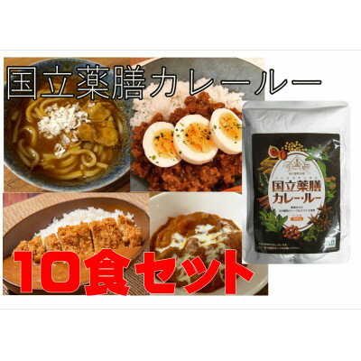 【ふるさと納税】30種のスパイスを使用　国立薬膳カレールー　300g×10パックセット　小麦粉・ラード不使用【1584743】