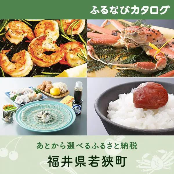 【有効期限なし！後からゆっくり特産品を選べる】福井県若狭町カタログポイント
