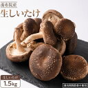 【ふるさと納税】【全国銅賞受賞】湯布院産 生しいたけ 大きめ1.5kg｜栽培期間農薬不使用 | シイタケ 椎茸 きのこ 大分県 由布市 返礼品 お取り寄せグルメ お取り寄せ グルメ 特産品 名産品 ご当地 キノコ 湯布院 由布院