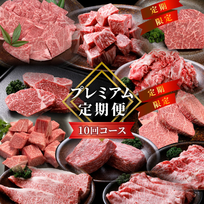 【ふるさと納税】全10回★PREMIUM★定期便 シャトーブリアン 赤身ステーキ ステーキ 切り落とし カタロース 焼肉カタロース サーロインステーキ ロースステーキ ステーキ 限定 定期便