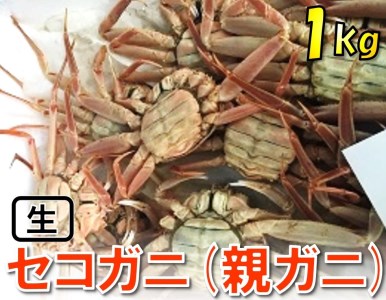 【1118】【魚倉】活お任せセコガニ1kgセット