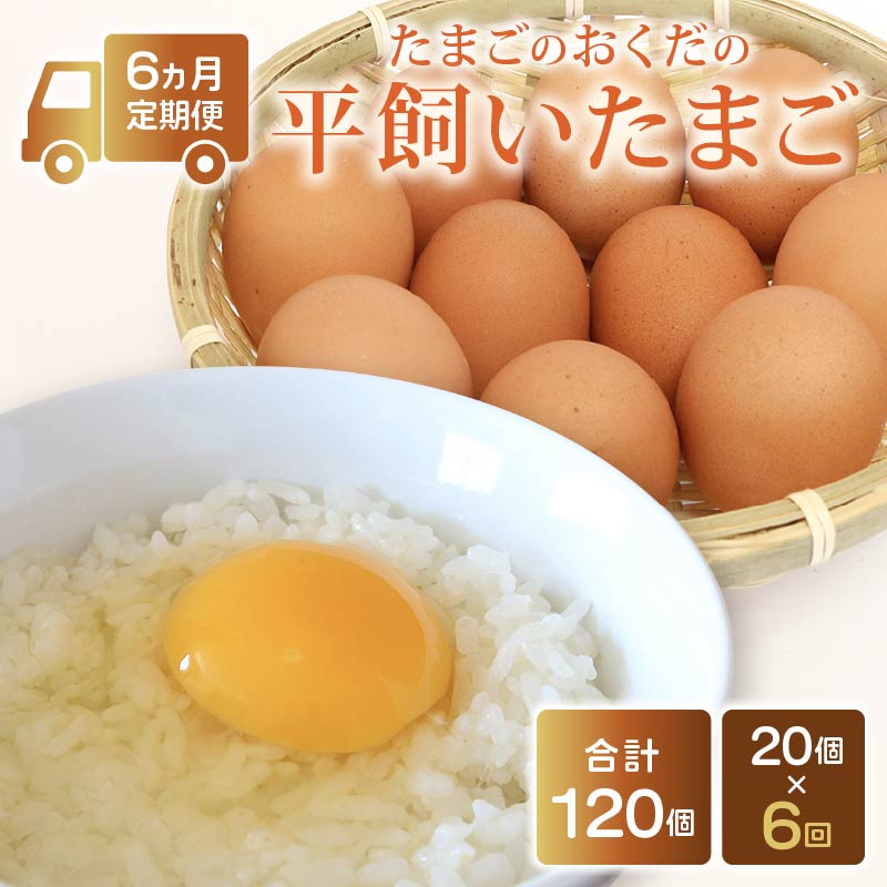 【ふるさと納税】 【定期便6回】平飼い卵 20個入り | たまごのおくだ 新鮮 平飼い 卵 たまご 鶏卵 卵黄 たまごかけ ご飯 玉子 タマゴ 玉子焼き たまご焼き すき焼き 鶏 ケーキ 国産 高知県 南国市