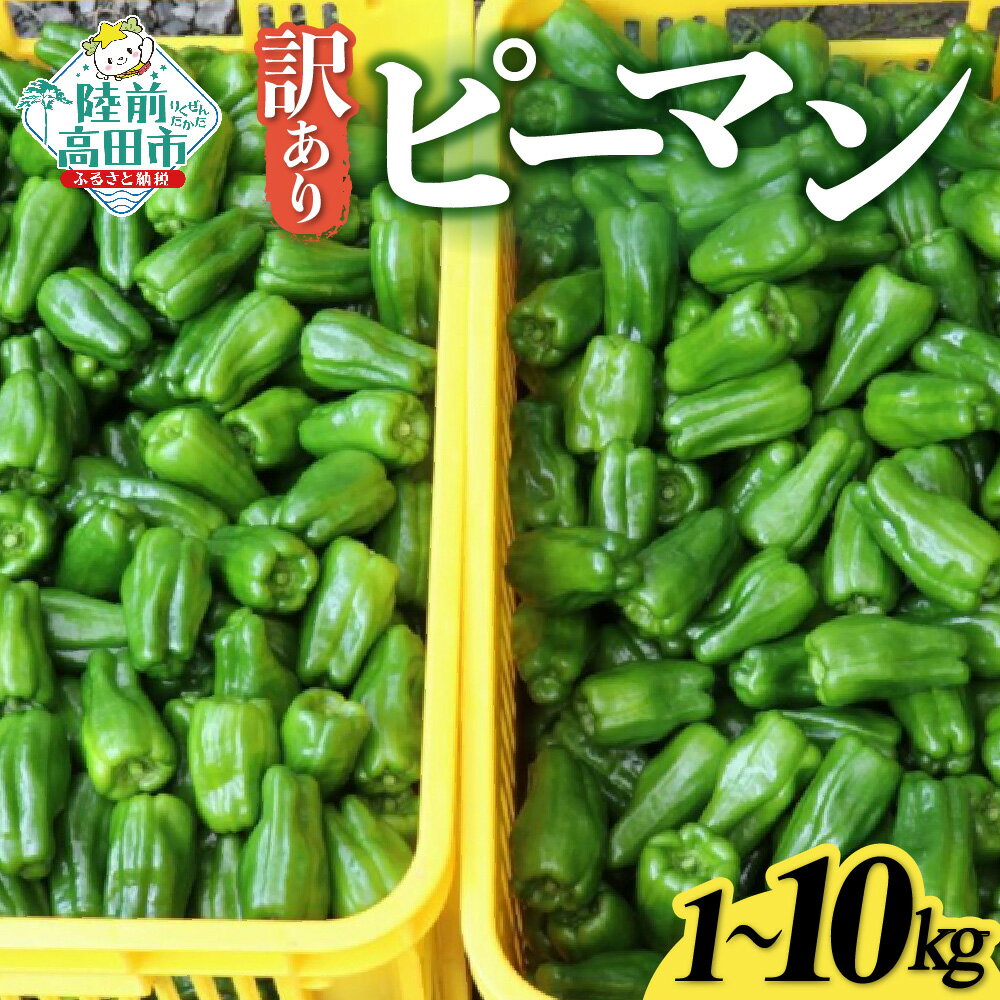 【ふるさと納税】訳あり 新鮮 ピーマン 内容量が選べる 1kg ～ 10kg [ 野菜 ベジタブル 新鮮 大容量 規格外 旬 人気 料理 野菜炒め 肉詰め 青椒肉絲 常温 バーベキュー アウトドア キャンプ 産地直送 野菜ソムリエ 国産 岩手県 陸前高田市 Farm Koganeyama ]