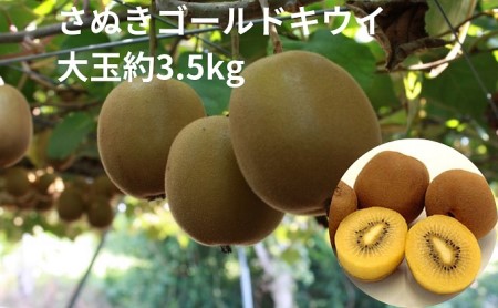さぬきゴールドキウイ　大玉約3.5kg 果物詰合せ フルーツ 