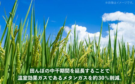 【全3回定期便】【2025年10月発送スタート】雲南市産 こしひかり 3kg 精米 新米 白米 島根県雲南市/株式会社アルプロン(米)[AIDR006]