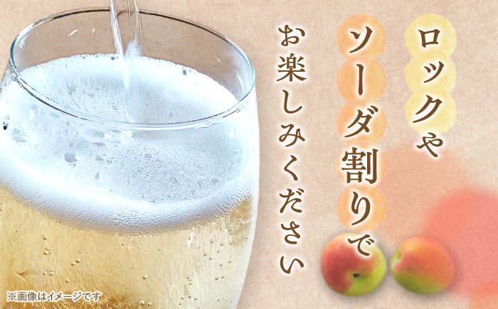 女城主 あらごし梅酒 500ml/ 日本酒 お酒 地酒 清酒 果実酒 / 恵那市 / 岩村醸造 [AUAK009]