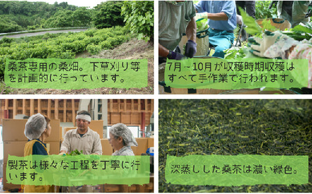 更木桑茶 茶葉セット（100g×3袋）お茶 健康茶 きたかみ さらき 国産 カフェインフリー カフェインゼロ 桑の葉 まろやかな甘み 豊富な栄養 抗酸化作用 岩手県 北上市 更木ふるさと興社 D008