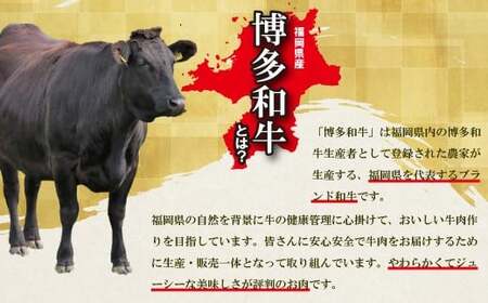 博多和牛タレ漬け（BBQ味） 1パック 約650g [M816-1] 湯煎 熱湯 和牛 便利 人気 和食 夜食 惣菜 時短 お弁当 おかず 国産牛肉 簡単調理 惣菜 福岡県産 冷凍 送料無料