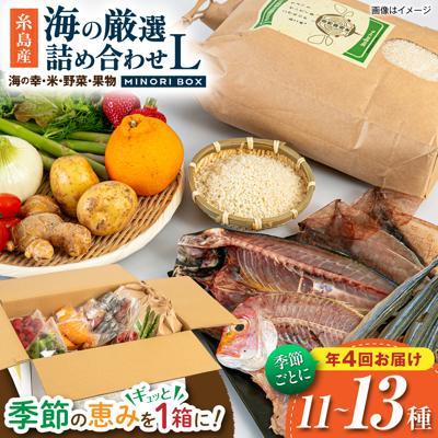 ふるさと納税 糸島市 【全4回定期便】糸島産 魚 米 野菜 果物 厳選合わせ Lサイズ　[AOP006]