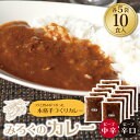 【ふるさと納税】みろくのカレー10食セット（中辛5食・辛口5食） ビーフカレー 本格 惣菜 冷凍 セット 簡単 グルメ 時短 送料無料 P27-03