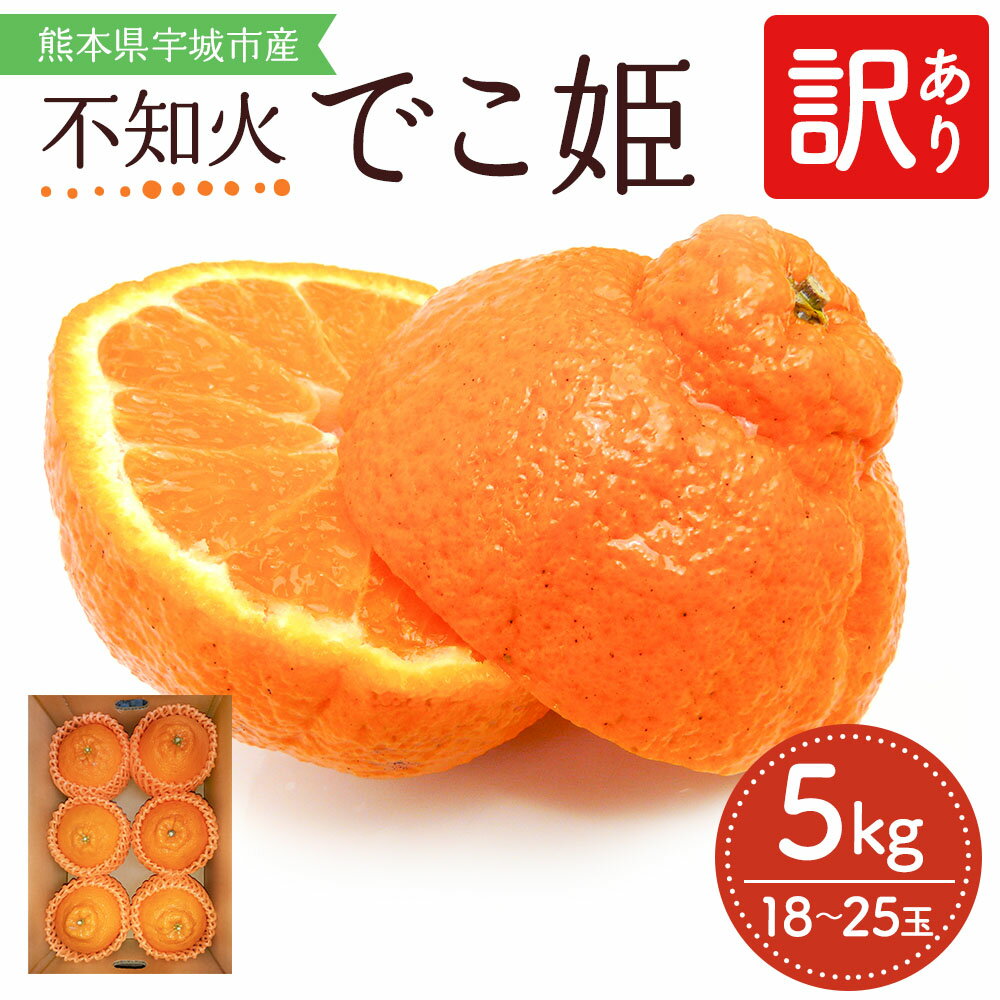 【ふるさと納税】 【先行予約】 不知火 訳あり でこ姫 約5kg 18〜25個 みかん 吉田レモニー 【2025年4月上旬〜2025年5月下旬発送】