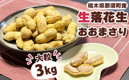 大粒生落花生「おおまさり」3kg｜落花生 大粒 ピーナッツ おつまみ 国産 おやつ 冷蔵 那須 栃木県 那須町〔P-83〕※2025年9月上旬～10月下旬頃に順次発送予定