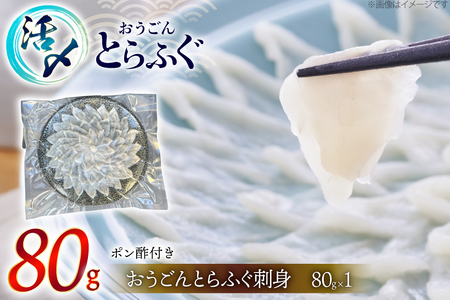 ふぐ 刺身 おうごんとらふぐ 大皿 刺身 80g [松永水産 長崎県 平戸市 hr42bgy400119]