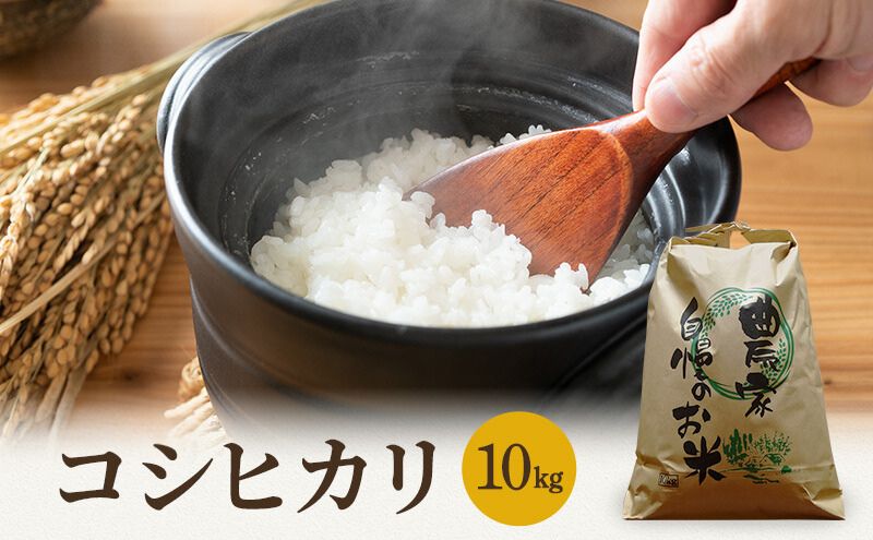 米 令和7年産 コシヒカリ 10kg 白米 精米 こめ コメ 一等米 特A 特a米 新米 こしひかり 山心ファーム 福井 福井県 若狭町