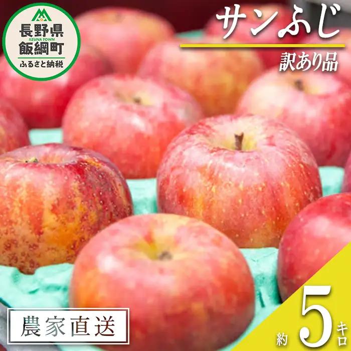 りんご サンふじ 訳あり 5kg 永野農園 沖縄県への配送不可 2026年12月上旬頃から2027年2月上旬頃まで順次発送予定 令和8年度収穫分 信州 果物 フルーツ リンゴ 林檎 長野 予約 農家直
