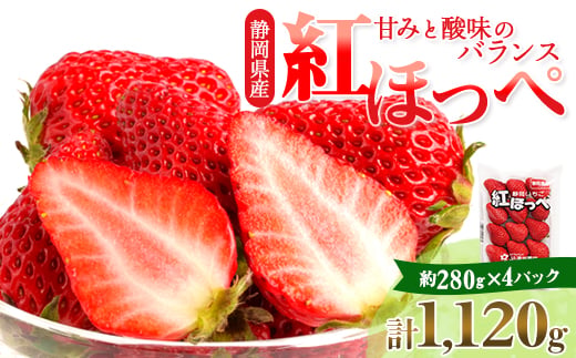 ＜先行受付　2027年発送＞静岡県掛川市産　ミズノ農園の完熟いちご　『紅ほっぺ』約280g×4パック_いちご イチゴ 苺 紅ほっぺ 果物 フルーツ ギフト 送料無料 静岡県 掛川市【1140800】