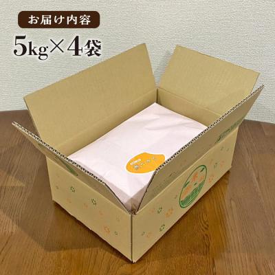 ふるさと納税 糸島市 いとし米 厳選ひのひかり20kg (糸島産) 糸島市/三島商店 [AIM077] |  | 03