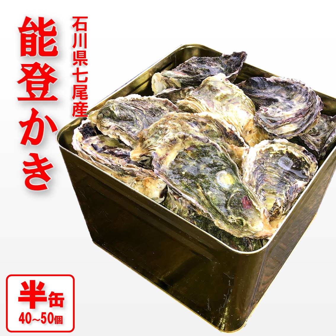 【能登半島地震復興支援】魚介類 牡蠣　/ 能登かき　殻付牡蠣 半缶/約5kg（約40～50個） 専用ナイフ 片手用軍手付 /世界農業遺産「能登の里山里海」｜石川県 七尾市 能登 ※要加熱 ※2025年1月下旬～5月下旬頃に順次発送予定 ※離島への配送不可
