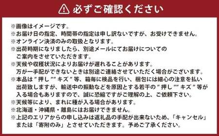 ぼっけえ大粒ピオーネ1房 800g以上 化粧箱入り【2026年9月上旬～10月上旬まで順次発送予定】【ピオーネ ぶどう 人気フルーツ 岡山フルーツ おすすめフルーツ 岡山県 倉敷市】