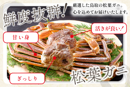 【活き】タグ付き松葉ガニ　大　１枚【松葉ガニ 松葉がに 松葉蟹 まつばがに かに カニ 冷蔵 チルド ブランド ズワイガニ 活き お祝い 冬 国産 季節限定 お取り寄せ 鳥取県 日吉津村 日本海】