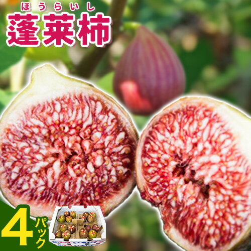 【ふるさと納税】露地いちじく（蓬莱柿（ほうらいし））280g~300g（4～5玉）×4パック（16～20玉）【配送不可地域：中国四国・近畿・福岡以外】JA笠岡アグリ《9月上旬-9月中旬頃出荷》岡山県 笠岡市 送料無料 イチジク フルーツ 果物 お取り寄せ