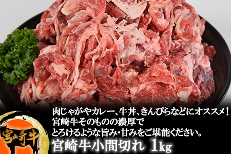 ＜宮崎牛小間切れ 1kg＞翌月末迄に順次出荷【 牛 牛肉 国産 黒毛和牛 贅沢 牛丼 煮物 炒め物 小間 普段使い 】