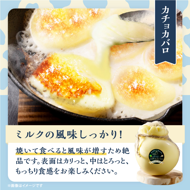 【おおともチーズ工房】《なまらでかい!!》ミルキーな風味の巨大カチョカバロ(計600g)_H0003-028