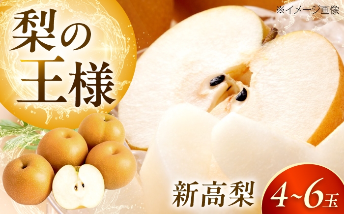
                  【先行予約】梨 新高梨 （にいたかなし） 4～6玉 〈2026年9月～発送〉 ／ フルーツ 果物 くだもの 食品 人気 おすすめ 梨 なし 新高梨 にいたかなし 和梨 甘い 高糖度 ナシ 大玉 黄金色 見事なボリューム 最高峰 愛媛県内子町産 国産 ふるさと納税 お取り寄せ ギフト 特産品 四国 返礼品 新鮮 旬 秋 贈答品 お礼品 ／　株式会社内子フレッシュパークからり [BKAD121]
                