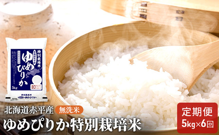 ゆめぴりか無洗米特別栽培米 北海道産 ゆめぴりか【5kg】【定期便6回】