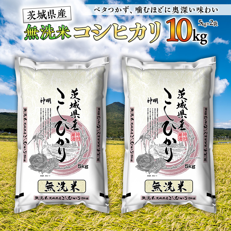 【新米】令和6年産 無洗米 茨城 こしひかり 10kg（無洗米5kg×2本） 無洗米 国産 お米 米 コメ 白米 ライス ご飯 おいしい ごはん [DA02-NT]