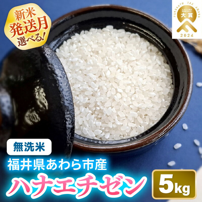 【ふるさと納税】【先行予約】【令和8年産】華越前 無洗米 5kg 単品 【選べる発送月：9月上旬 / 10月上旬】/ 米 5キロ ハナエチゼン はなえちぜん 北陸 福井県産 あわら市 ブランド米 白米 お米 コメ こめ むせんまい