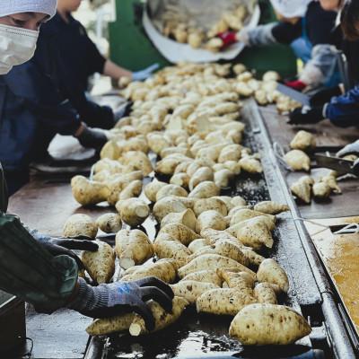 ふるさと納税 延岡市 【飲み比べ】延岡限定 白 黒  1800ml×6本セット(各3本) |  | 03