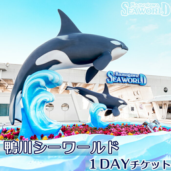 鴨川シーワールド 入園チケット 大人（高校生以上）１枚