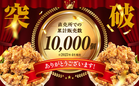 【3か月定期便】レンジでプロ味！からあげ３か月定期便_Tk005-t043