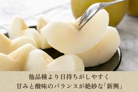 【2024年先行予約】「天果糖逸（てんかとういつ）」新潟県産和梨 新興 約5kg（6～8玉）《10月下旬～配送予定》 しんこう 果物 フルーツ 冬の味覚 産地直送 加茂市 えちご中越農業協同組合