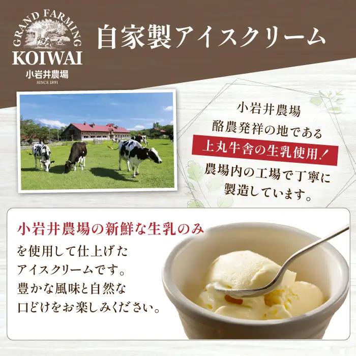 小岩井農場 アイスクリーム 10個 セット ／ 人気 スイーツ デザート アイス カスタード バニラ 牛乳 りんご 林檎 リンゴ ヨーグルト 4種類 食べ比べ お菓子 個包装 小分け お取り寄せ ギフ