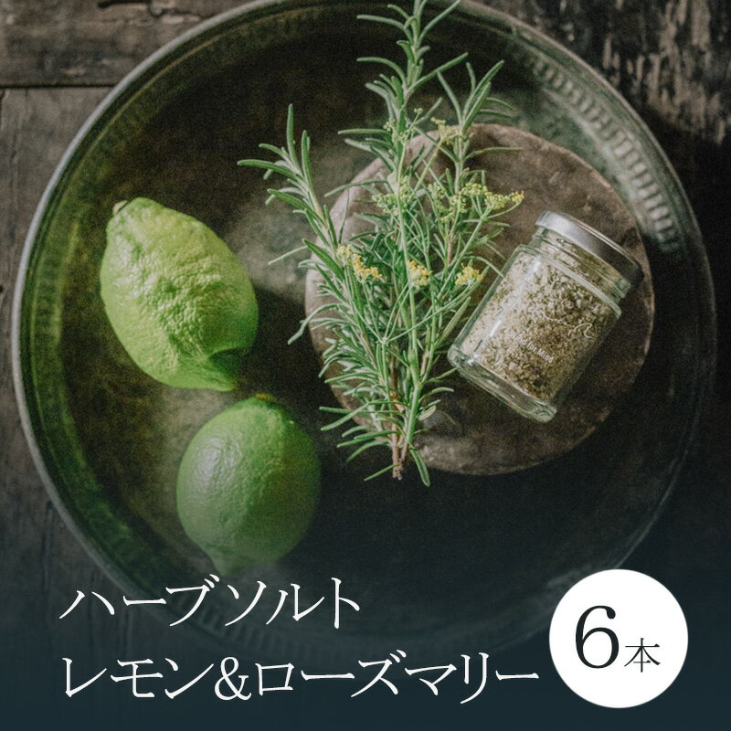 【ふるさと納税】心に風 ハーブソルト レモン&ローズマリー 6本入 兵庫県 洲本市 淡路島 　お届け：2025年12月以降発送